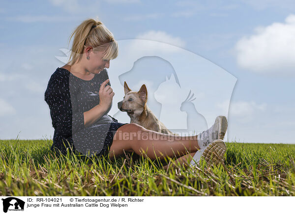 junge Frau mit Australian Cattle Dog Welpen / RR-104021