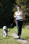 Jogger mit Bearded Collie