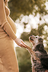 Schwangere und Border Terrier