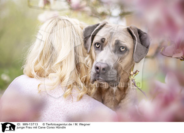 junge Frau mit Cane Corso Hndin / young woman with Cane Corso / MW-13713