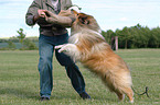 Ausbildung zum Schutzhund