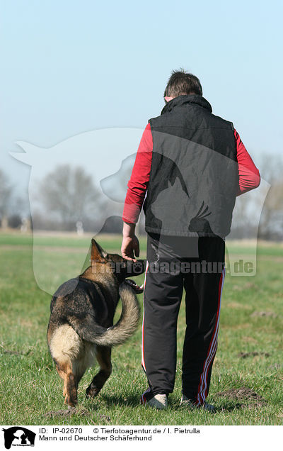 Mann und Deutscher Schferhund / man and German Shepherd / IP-02670