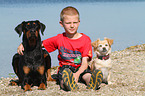 Junge und 2 Hunde