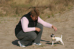 Frau spielt mit Jack Russell Terrier
