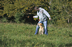 Labrador Retriever beim Dogdance