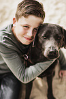 Labrador Retriever und Junge
