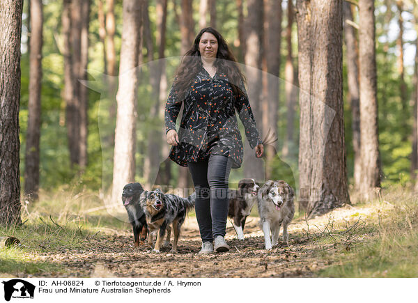 Frau und Miniature Australian Shepherds / AH-06824