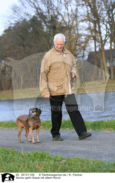 Senior geht Gassi mit altem Hund / KF-01146