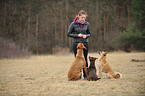 Frau mit Hunden