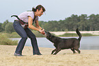 Frau mit Labrador-Retriever-Deutscher-Schferhund-Mischling