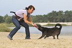 Frau mit Labrador-Retriever-Deutscher-Schferhund-Mischling