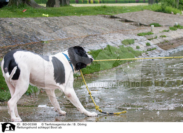 Rettungshund schleppt Boot ab / rescue dog with boat / BD-00398