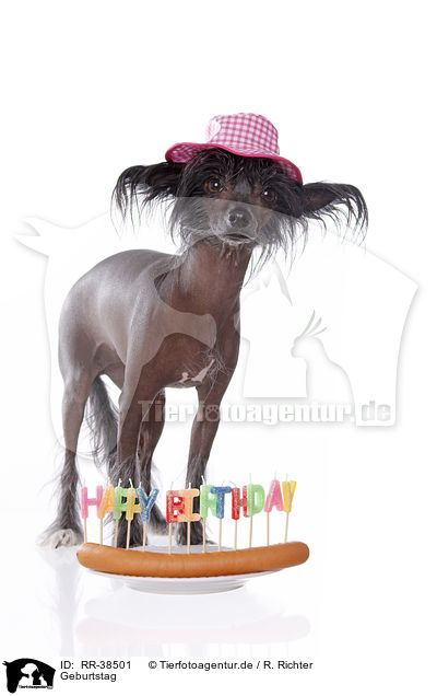 Happy Birthday Bible Cake Images Happy Birthday Bible Cake Images