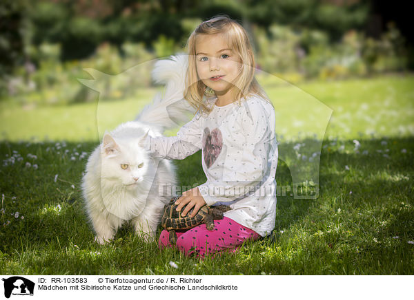 Mdchen mit Sibirische Katze und Griechische Landschildkrte / girl with Siberian Cat and Greek tortoise / RR-103583