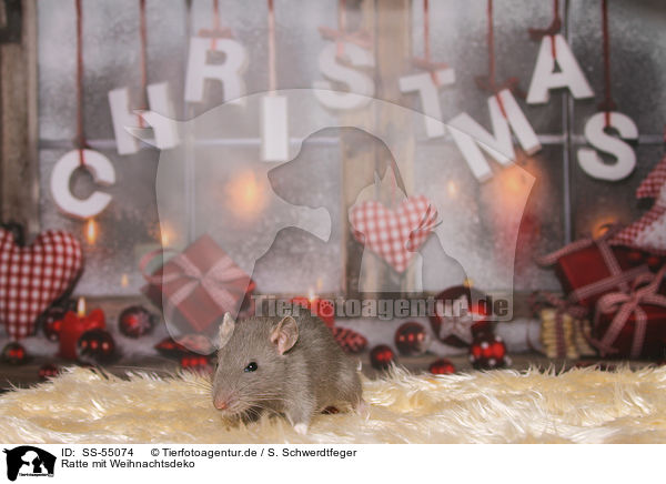 Ratte mit Weihnachtsdeko / SS-55074