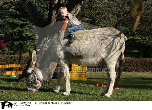 Kind und Esel / kind and donkey / PM-04448