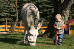 Kind und Esel
