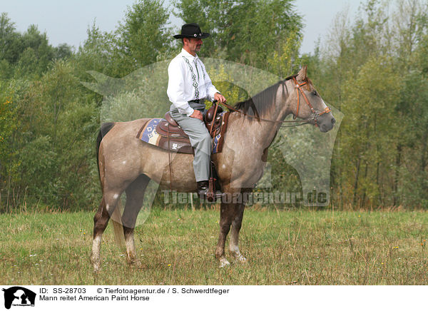 Mann reitet American Paint Horse / SS-28703