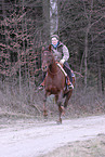 Frau reitet American Saddlebred Horse