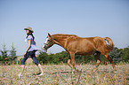 Frau mit Arabohaflinger