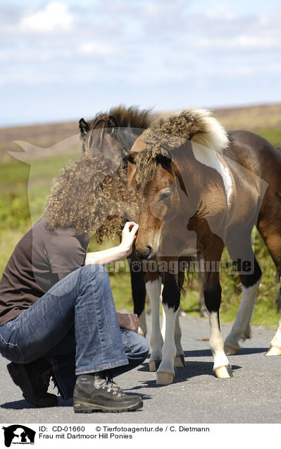 Frau mit Dartmoor Hill Ponies / CD-01660