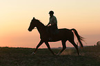 Reiter im Sonnenuntergang
