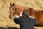 Frau fotografiert Pferd
