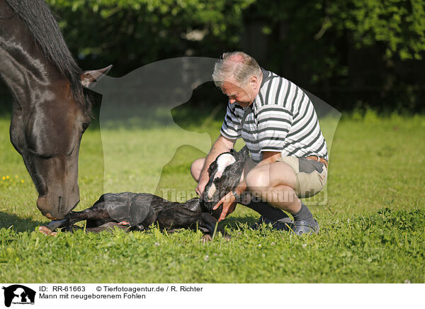 Mann mit neugeborenem Fohlen / man with newborn foal / RR-61663