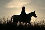 junge Frau mit Pferd im Sonnenuntergang