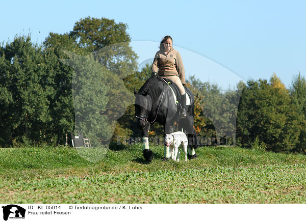 Frau reitet Friesen / woman rides Friesian horse / KL-05014