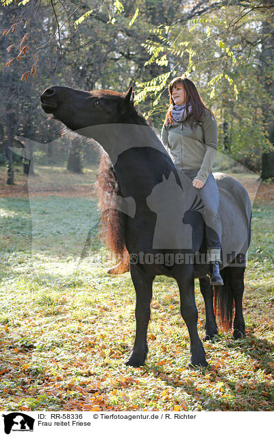 Frau reitet Friese / woman rides Frisian horse / RR-58336