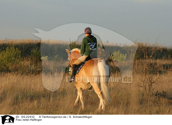 Frau reitet Haflinger / woman rides haflinger horse / SS-22432