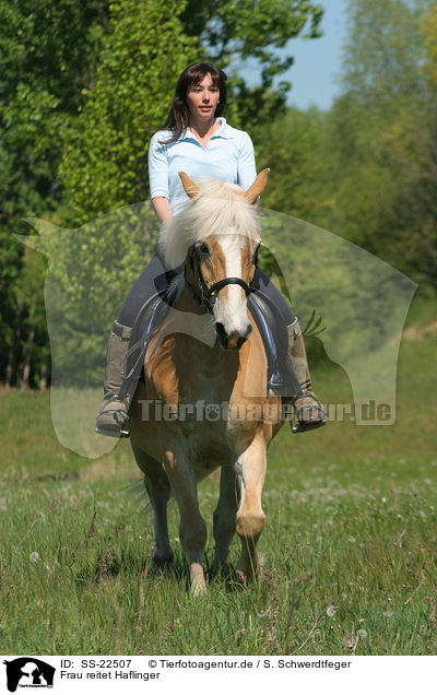 Frau reitet Haflinger / woman rides haflinger horse / SS-22507