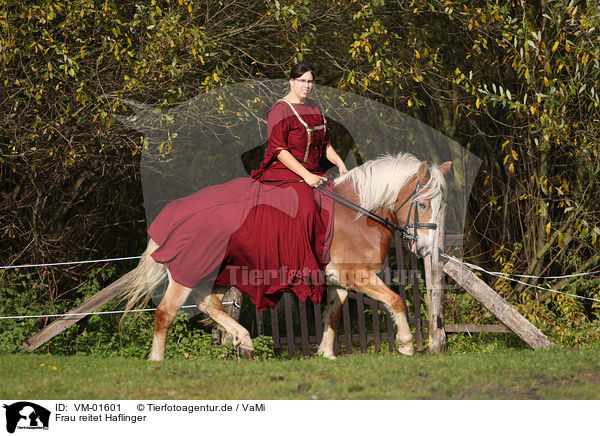 Frau reitet Haflinger / woman rides Haflinger horse / VM-01601
