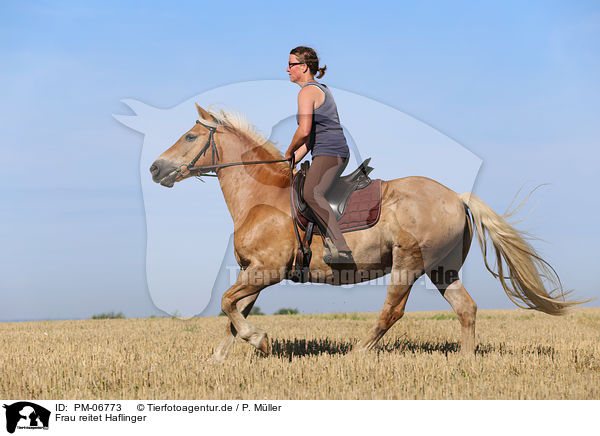 Frau reitet Haflinger / woman rides Haflinger Horse / PM-06773