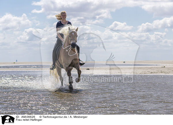 Frau reitet Haflinger / woman rides Haflinger Horse / AM-06626