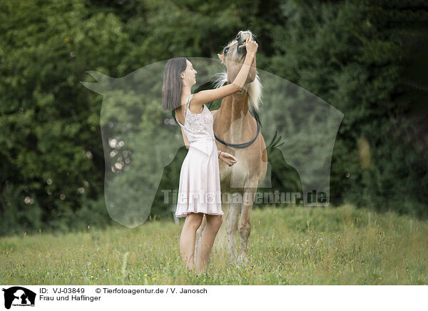 Frau und Haflinger / woman and Haflinger horse / VJ-03849