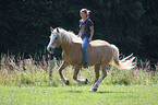 Mdchen und Haflinger