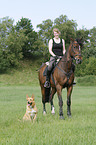 Frau mit Hannoveraner und Hund
