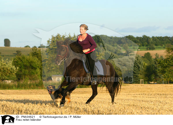 Frau reitet Islnder / woman rides Icelandic horse / PM-04621