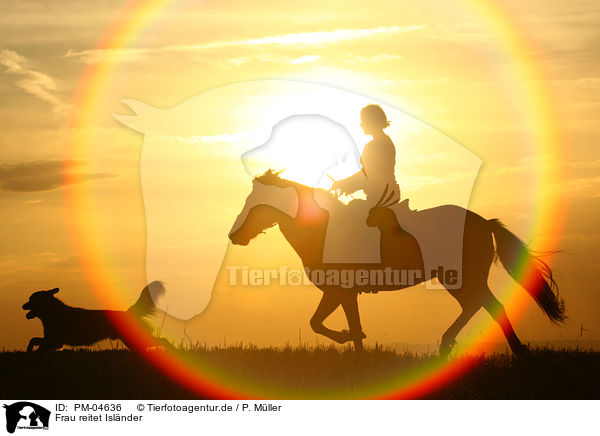 Frau reitet Islnder / woman rides Icelandic horse / PM-04636