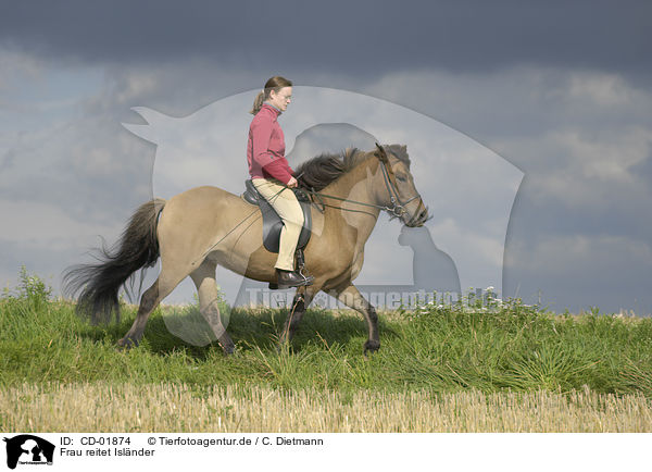 Frau reitet Islnder / woman rides Icelandic horse / CD-01874