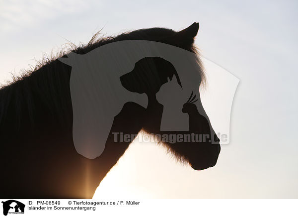 Islnder im Sonnenuntergang / PM-06549