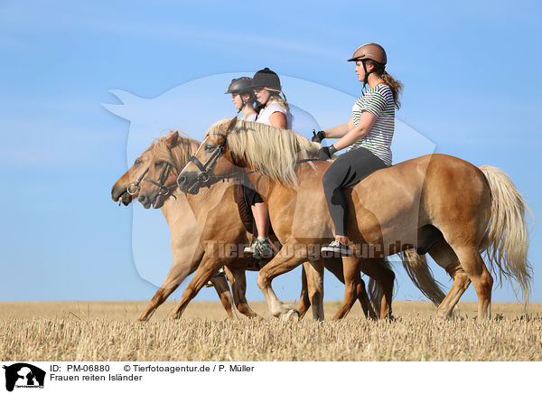 Frauen reiten Islnder / women rides Icelandic Horses / PM-06880