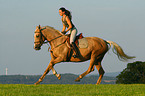 Frau reitet Kinsky-Pferd