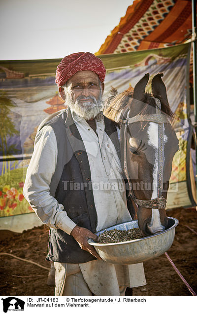 Marwari auf dem Viehmarkt / JR-04183