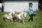 Frau und Mini Shetland Ponies