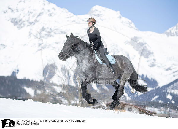 Frau reitet Noriker / woman rides Noriker Horse / VJ-03145