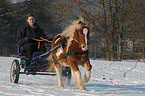 Kutschfahrt im Winter