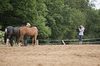 Frau fotografiert Pferde